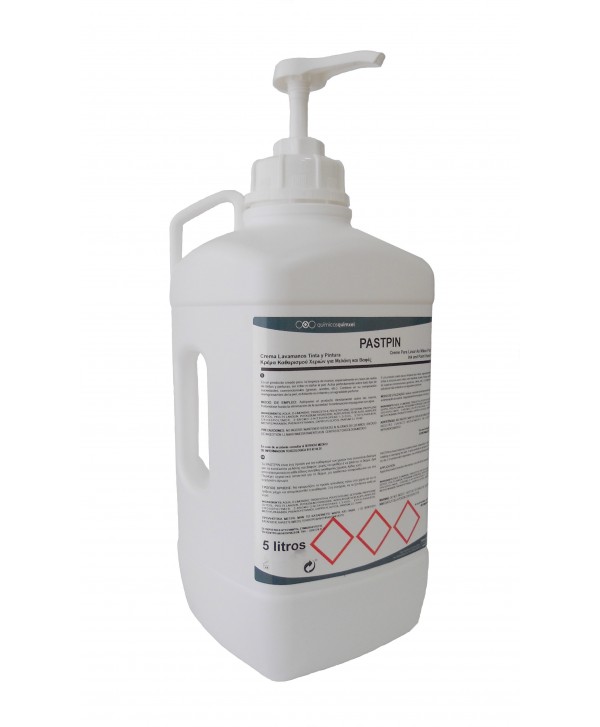 PASTPIN 20l *Crema Lavamanos Tinta y Pintura*